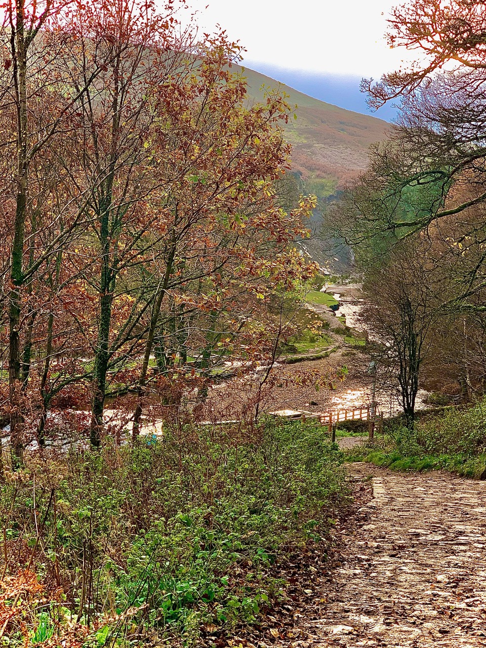 Fwd: Photo			
					</div><!-- .entry-content -->
		
		<footer>
		
		
		
					
					</footer><!-- .entry-meta -->
	</article><!-- #post -->
				
											
				
		
<hr class=