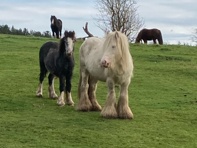 Fwd: Moss Valley			
					</div><!-- .entry-content -->
		
		<footer>
		
		
		
					
					</footer><!-- .entry-meta -->
	</article><!-- #post -->
				
											
				
		
<hr class=