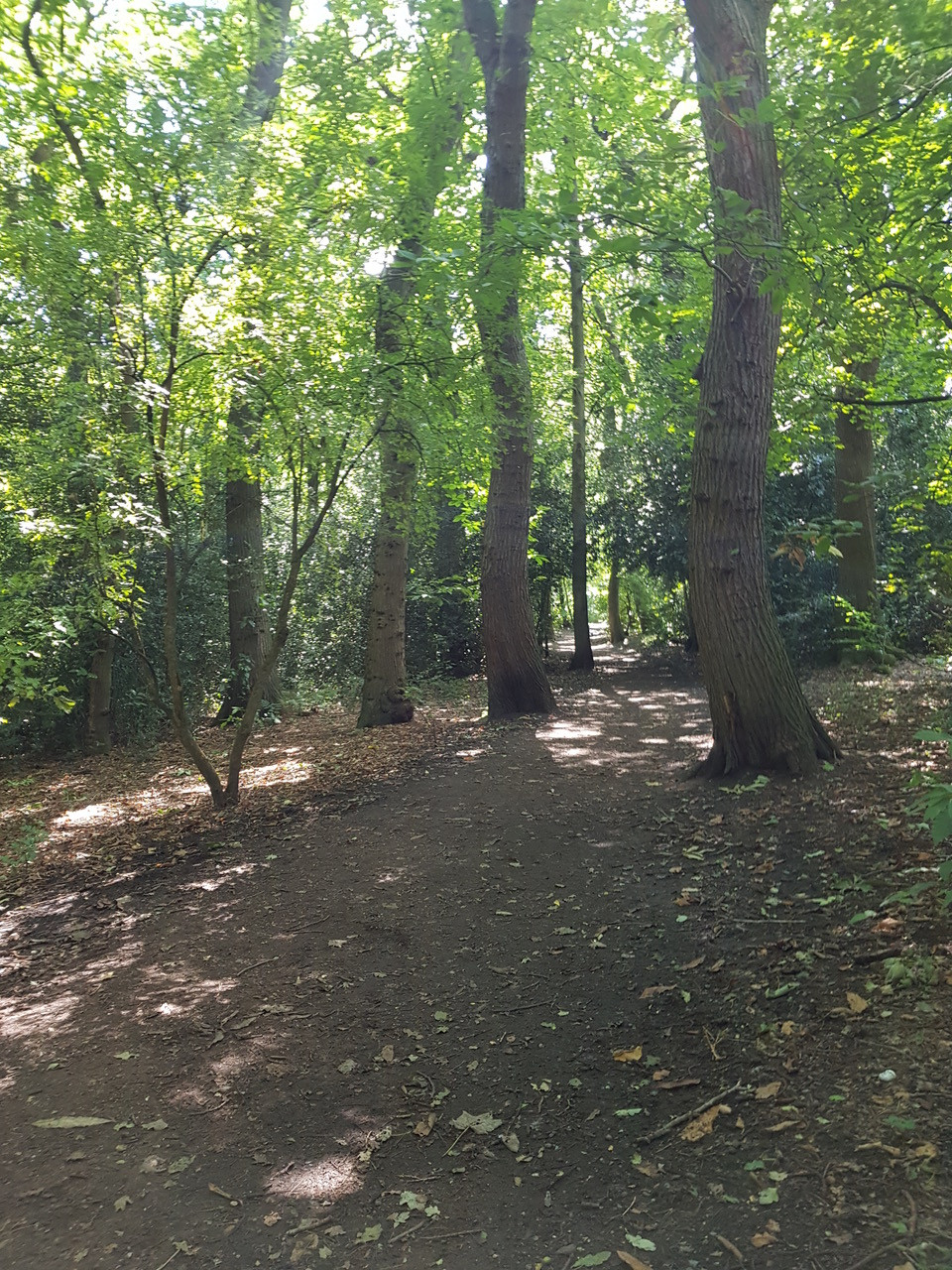 Fwd: Ecclesall woods,Paul Snelling.			
					</div><!-- .entry-content -->
		
		<footer>
		
		
		
					
					</footer><!-- .entry-meta -->
	</article><!-- #post -->
				
											
				
		
<hr class=