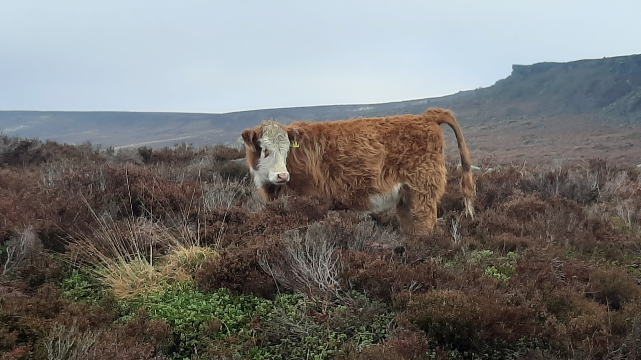 Fwd: Photo			
					</div><!-- .entry-content -->
		
		<footer>
		
		
		
					
					</footer><!-- .entry-meta -->
	</article><!-- #post -->
				
											
				
		
<hr class=