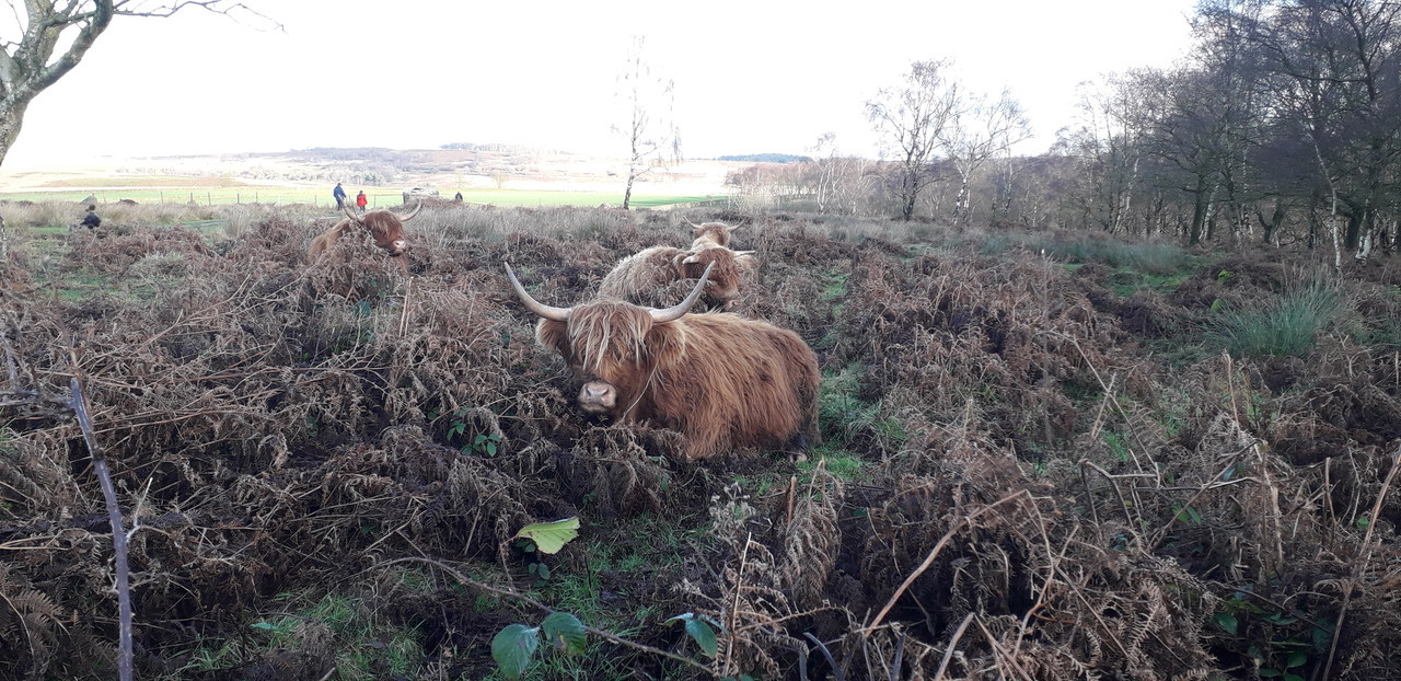 Fwd: Baslow			
					</div><!-- .entry-content -->
		
		<footer>
		
		
		
					
					</footer><!-- .entry-meta -->
	</article><!-- #post -->
				
											
				
		
<hr class=