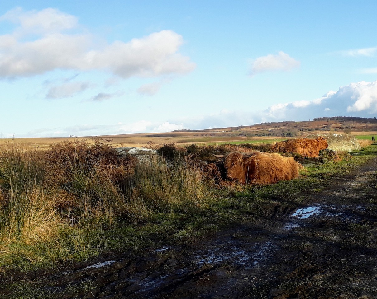 Fwd: Baslow			
					</div><!-- .entry-content -->
		
		<footer>
		
		
		
					
					</footer><!-- .entry-meta -->
	</article><!-- #post -->
				
											
				
		
<hr class=