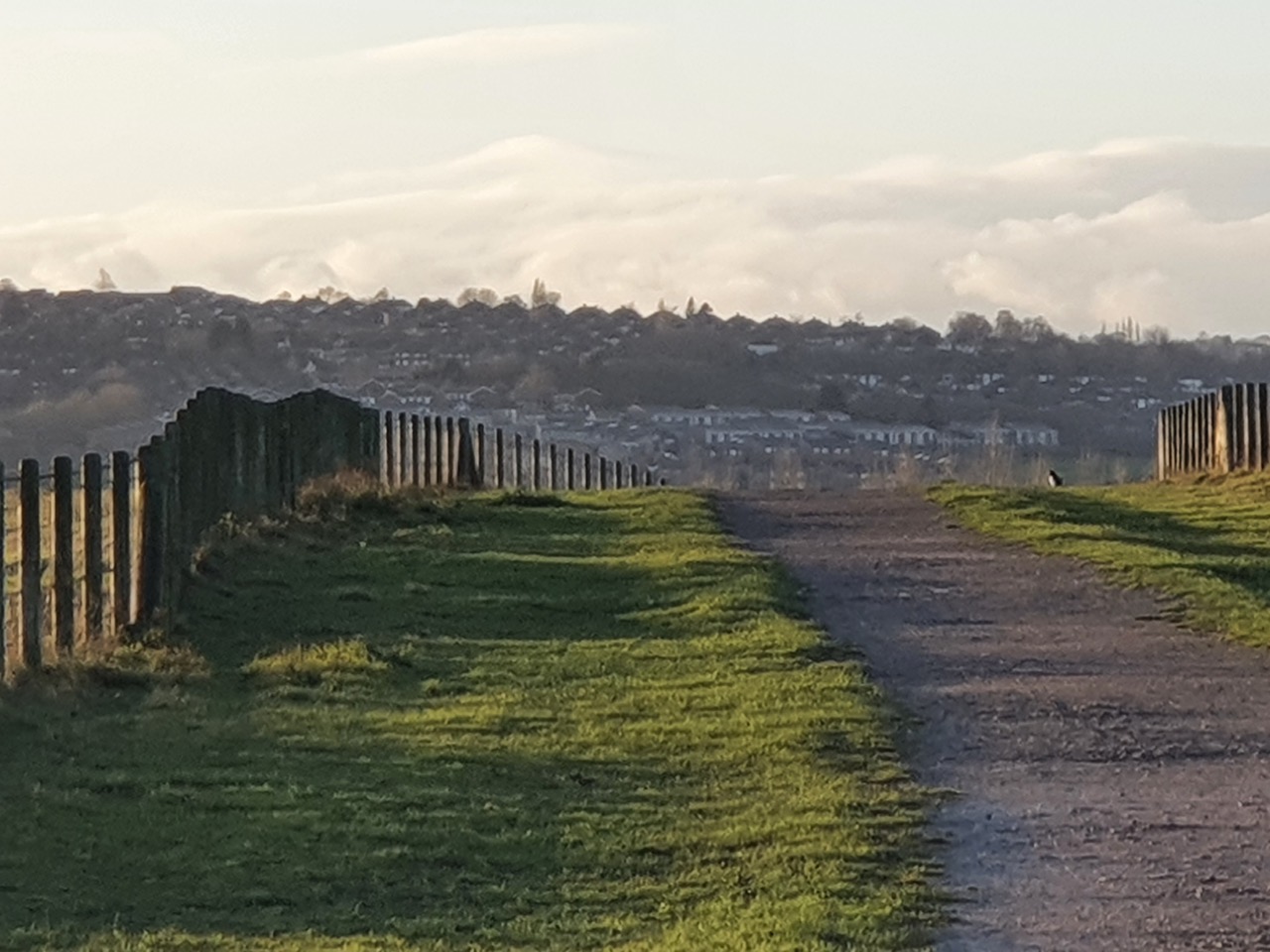 Fwd:			
					</div><!-- .entry-content -->
		
		<footer>
		
		
		
					
					</footer><!-- .entry-meta -->
	</article><!-- #post -->
				
											
				
		
<hr class=