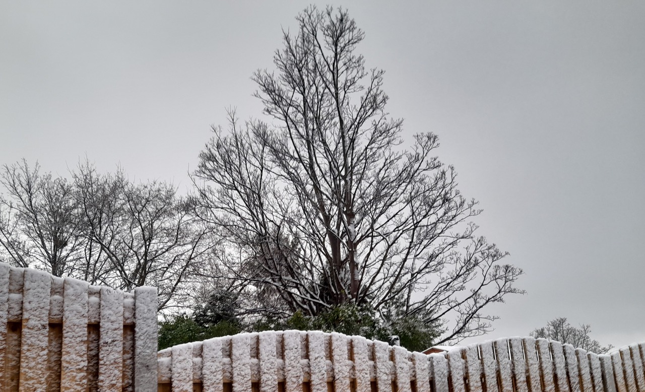 Fwd:			
					</div><!-- .entry-content -->
		
		<footer>
		
		
		
					
					</footer><!-- .entry-meta -->
	</article><!-- #post -->
				
											
				
		
<hr class=