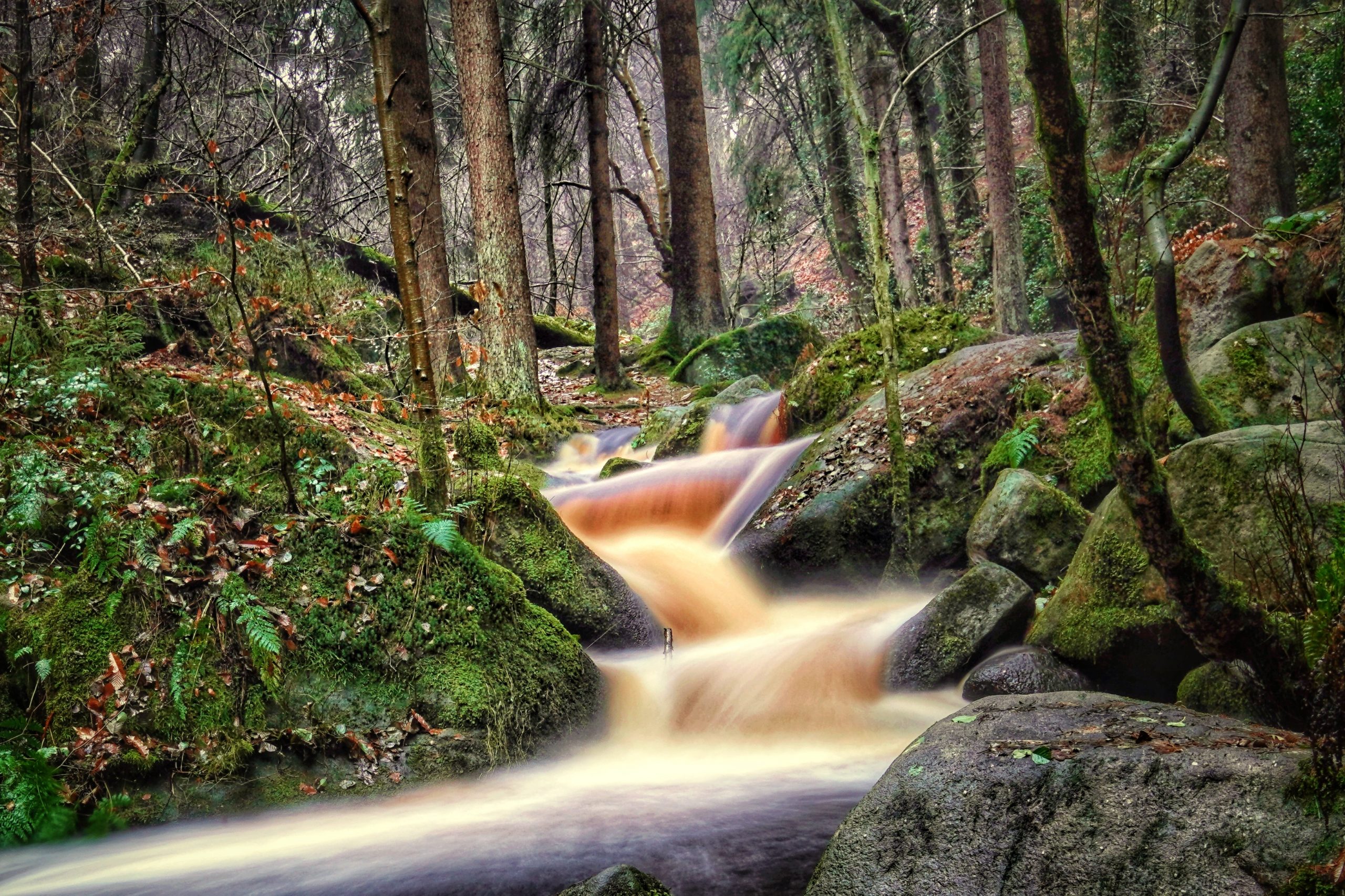 Fwd: Photos			
					</div><!-- .entry-content -->
		
		<footer>
		
		
		
					
					</footer><!-- .entry-meta -->
	</article><!-- #post -->
				
											
				
		
<hr class=