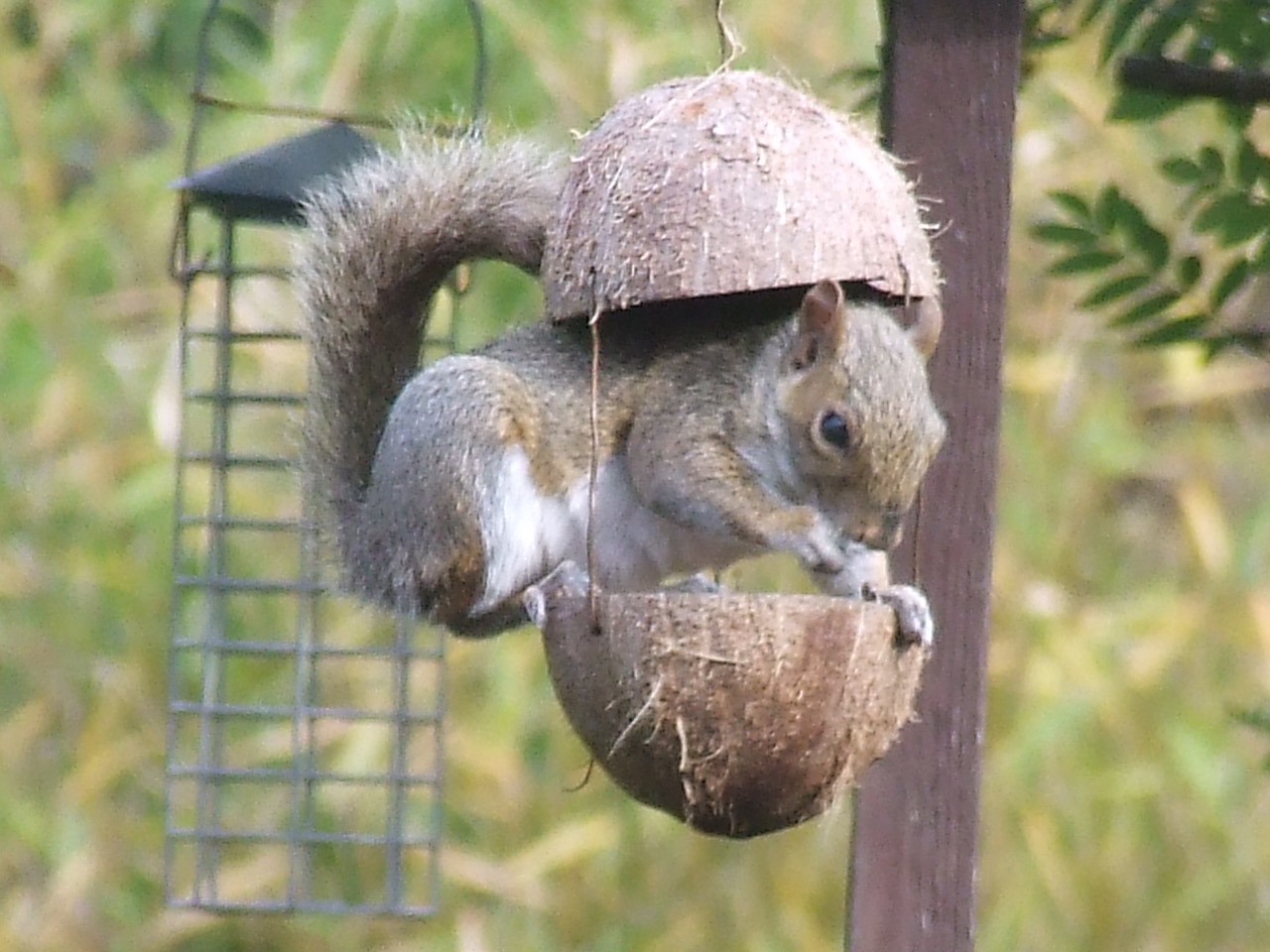 Fwd:			
					</div><!-- .entry-content -->
		
		<footer>
		
		
		
					
					</footer><!-- .entry-meta -->
	</article><!-- #post -->
				
											
				
		
<hr class=