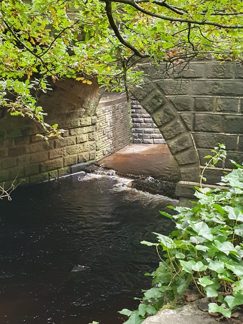 Fwd:			
					</div><!-- .entry-content -->
		
		<footer>
		
		
		
					
					</footer><!-- .entry-meta -->
	</article><!-- #post -->
				
											
				
		
<hr class=