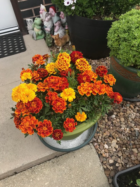 Fwd: Photograph by hacker			
					</div><!-- .entry-content -->
		
		<footer>
		
		
		
					
					</footer><!-- .entry-meta -->
	</article><!-- #post -->
				
											
				
		
<hr class=