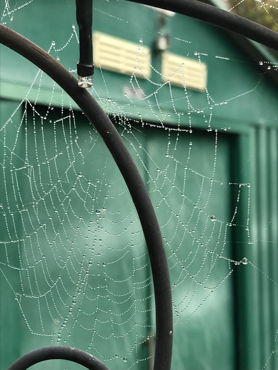 Fwd: Morning Dew. By Val Unwin			
					</div><!-- .entry-content -->
		
		<footer>
		
		
		
					
					</footer><!-- .entry-meta -->
	</article><!-- #post -->
				
											
				
		
<hr class=