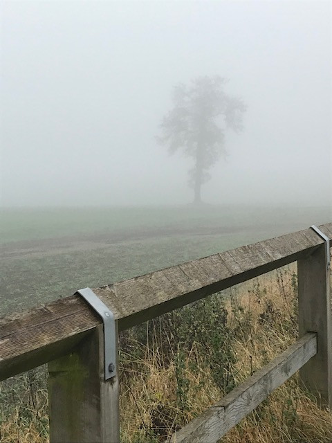 Fwd: Morning Mist Aughton by Val Unwin			
					</div><!-- .entry-content -->
		
		<footer>
		
		
		
					
					</footer><!-- .entry-meta -->
	</article><!-- #post -->
				
											
				
		
<hr class=