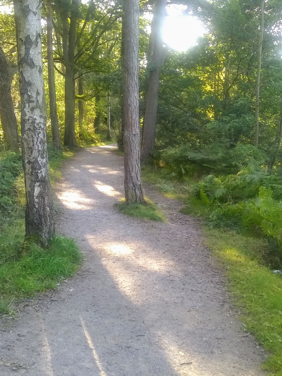 Fwd: Dam flask			
					</div><!-- .entry-content -->
		
		<footer>
		
		
		
					
					</footer><!-- .entry-meta -->
	</article><!-- #post -->
				
											
				
		
<hr class=