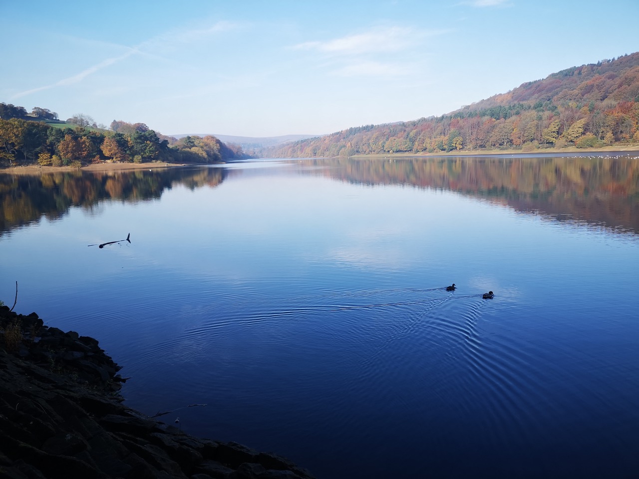 Fwd: Dam Flask, Bradfield photo			
					</div><!-- .entry-content -->
		
		<footer>
		
		
		
					
					</footer><!-- .entry-meta -->
	</article><!-- #post -->
				
											
				
		
<hr class=