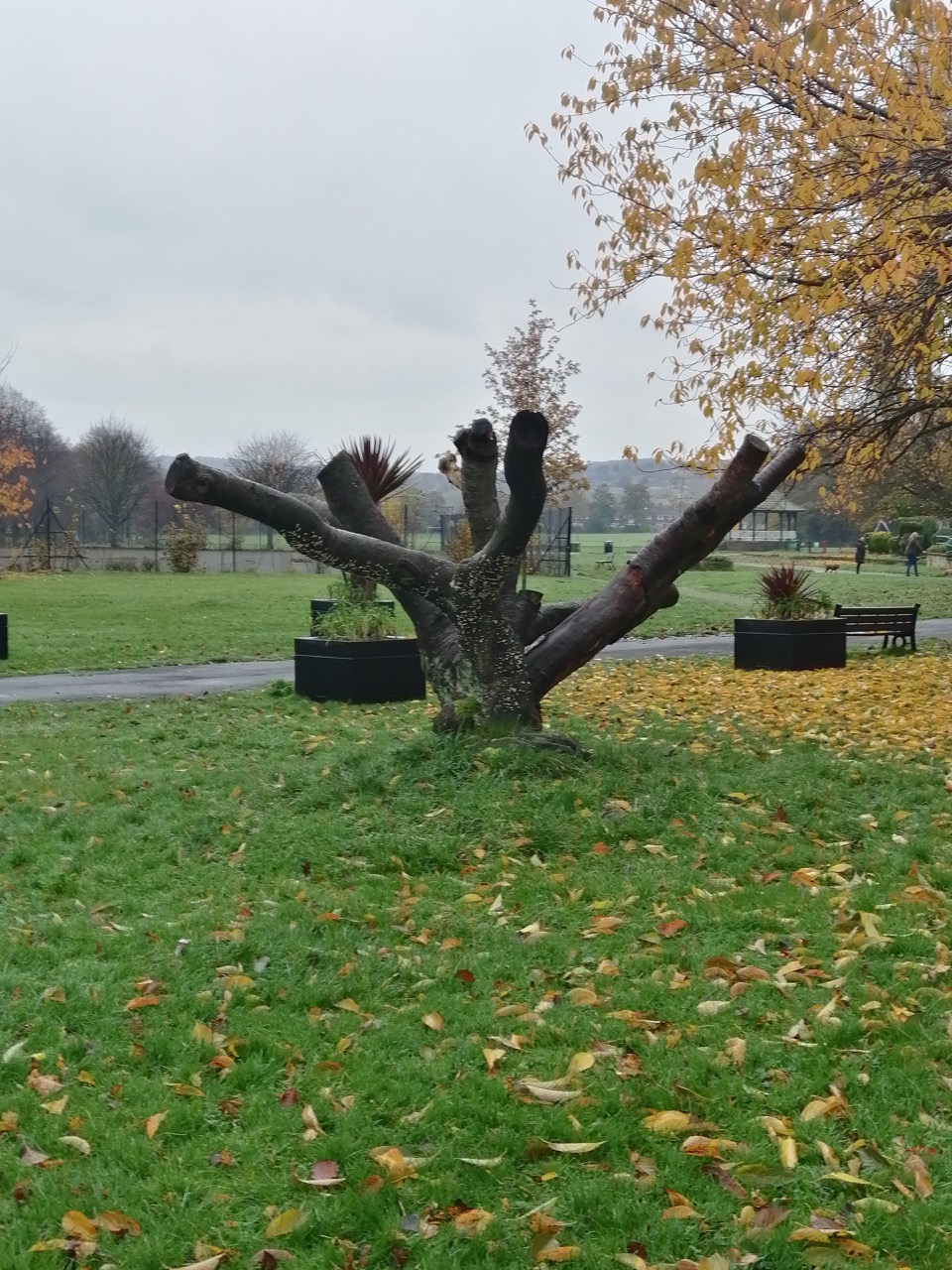 Fwd: Ecclesfield Park stuart spooner			
					</div><!-- .entry-content -->
		
		<footer>
		
		
		
					
					</footer><!-- .entry-meta -->
	</article><!-- #post -->
				
											
				
		
<hr class=