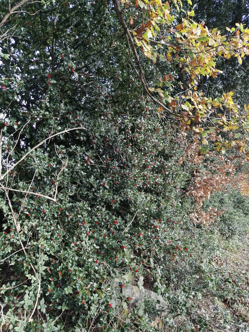 Fwd: Grenoside			
					</div><!-- .entry-content -->
		
		<footer>
		
		
		
					
					</footer><!-- .entry-meta -->
	</article><!-- #post -->
				
											
				
		
<hr class=