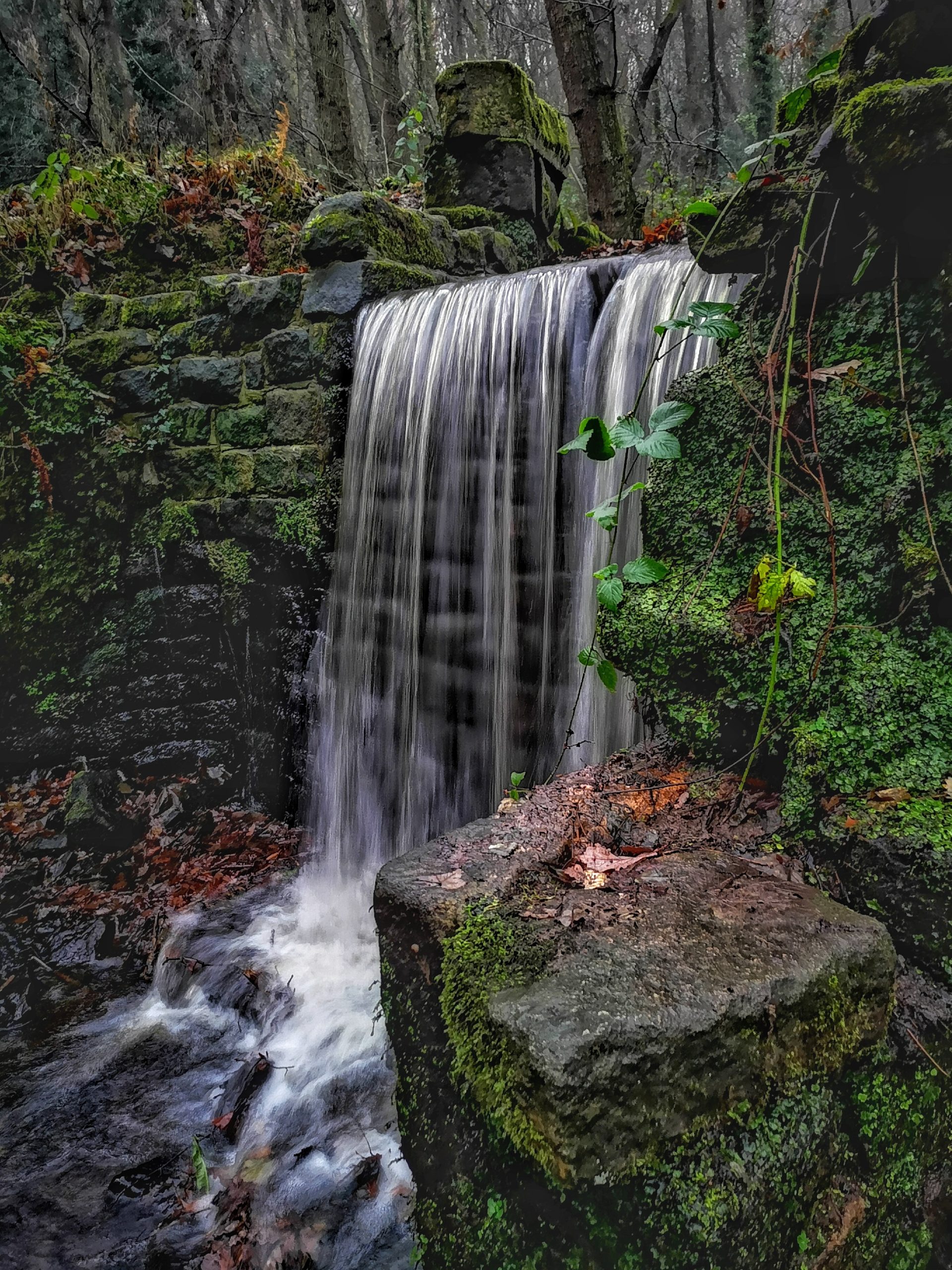 Fwd: Photo			
					</div><!-- .entry-content -->
		
		<footer>
		
		
		
					
					</footer><!-- .entry-meta -->
	</article><!-- #post -->
				
											
				
		
<hr class=