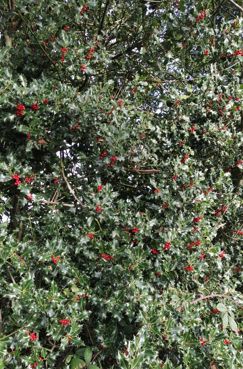 Fwd: Grenoside			
					</div><!-- .entry-content -->
		
		<footer>
		
		
		
					
					</footer><!-- .entry-meta -->
	</article><!-- #post -->
				
											
				
		
<hr class=