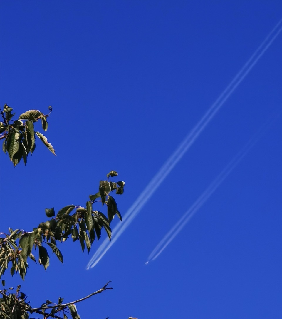 Fwd: Lufthansa a380 and a350			
					</div><!-- .entry-content -->
		
		<footer>
		
		
		
					
					</footer><!-- .entry-meta -->
	</article><!-- #post -->
				
											
				
		
<hr class=