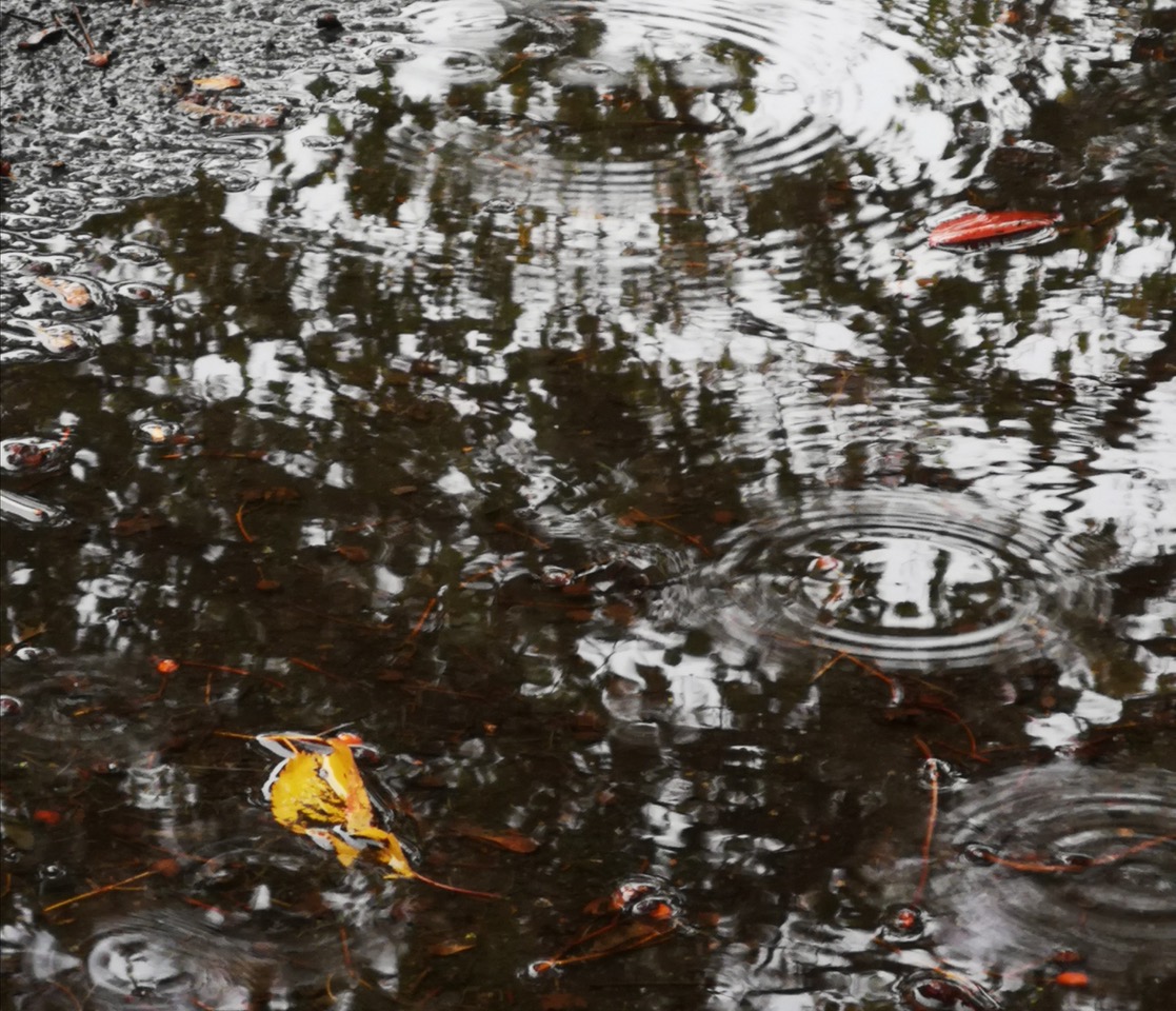 Fwd: Rain puddle			
					</div><!-- .entry-content -->
		
		<footer>
		
		
		
					
					</footer><!-- .entry-meta -->
	</article><!-- #post -->
				
											
				
		
<hr class=