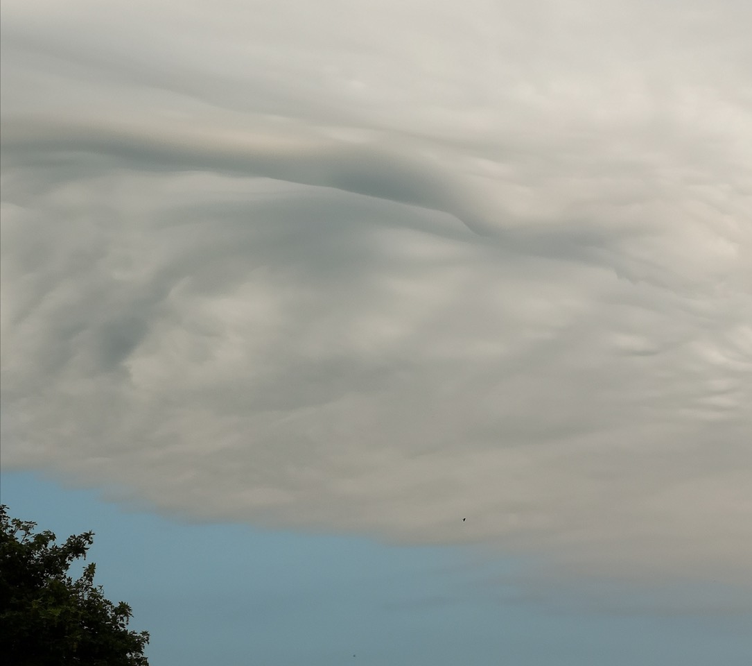 Fwd:			
					</div><!-- .entry-content -->
		
		<footer>
		
		
		
					
					</footer><!-- .entry-meta -->
	</article><!-- #post -->
				
											
				
		
<hr class=