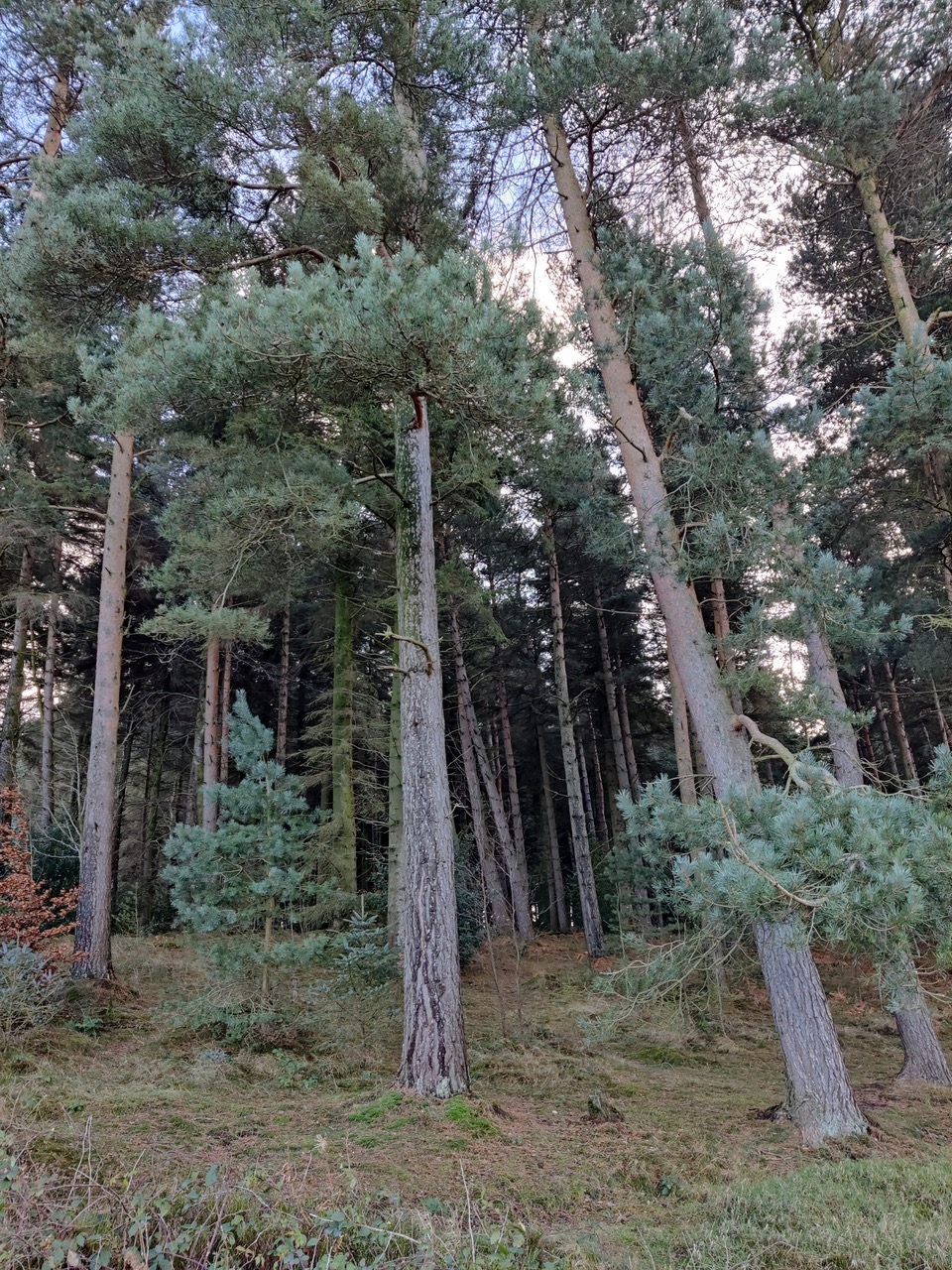 Fwd: Ross Spooner Langsett Reservoir			
					</div><!-- .entry-content -->
		
		<footer>
		
		
		
					
					</footer><!-- .entry-meta -->
	</article><!-- #post -->
				
											
				
		
<hr class=