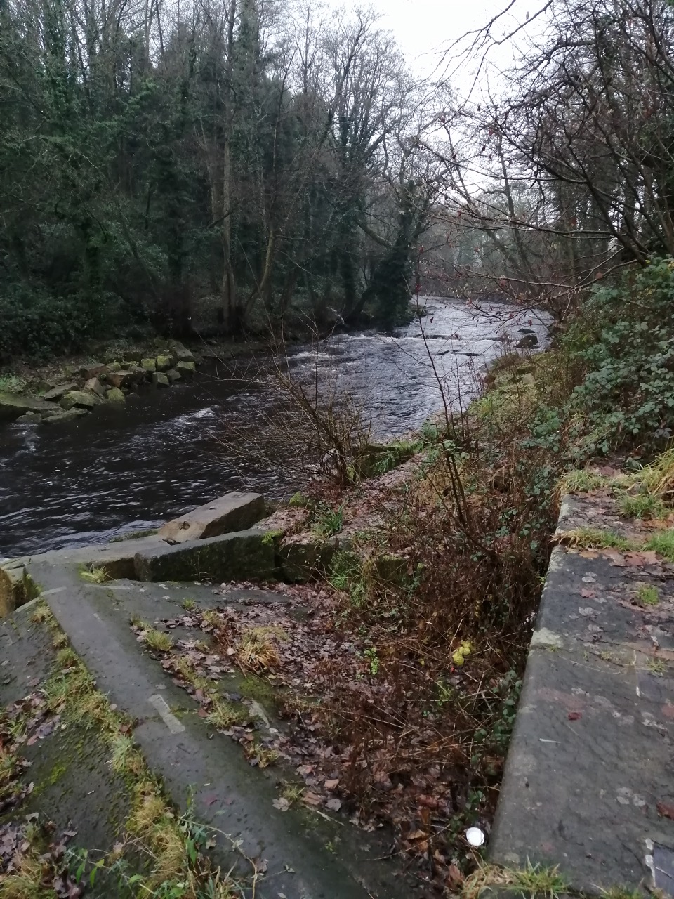 Fwd: Beeley Wood by Stuart Spooner			
					</div><!-- .entry-content -->
		
		<footer>
		
		
		
					
					</footer><!-- .entry-meta -->
	</article><!-- #post -->
				
											
				
		
<hr class=