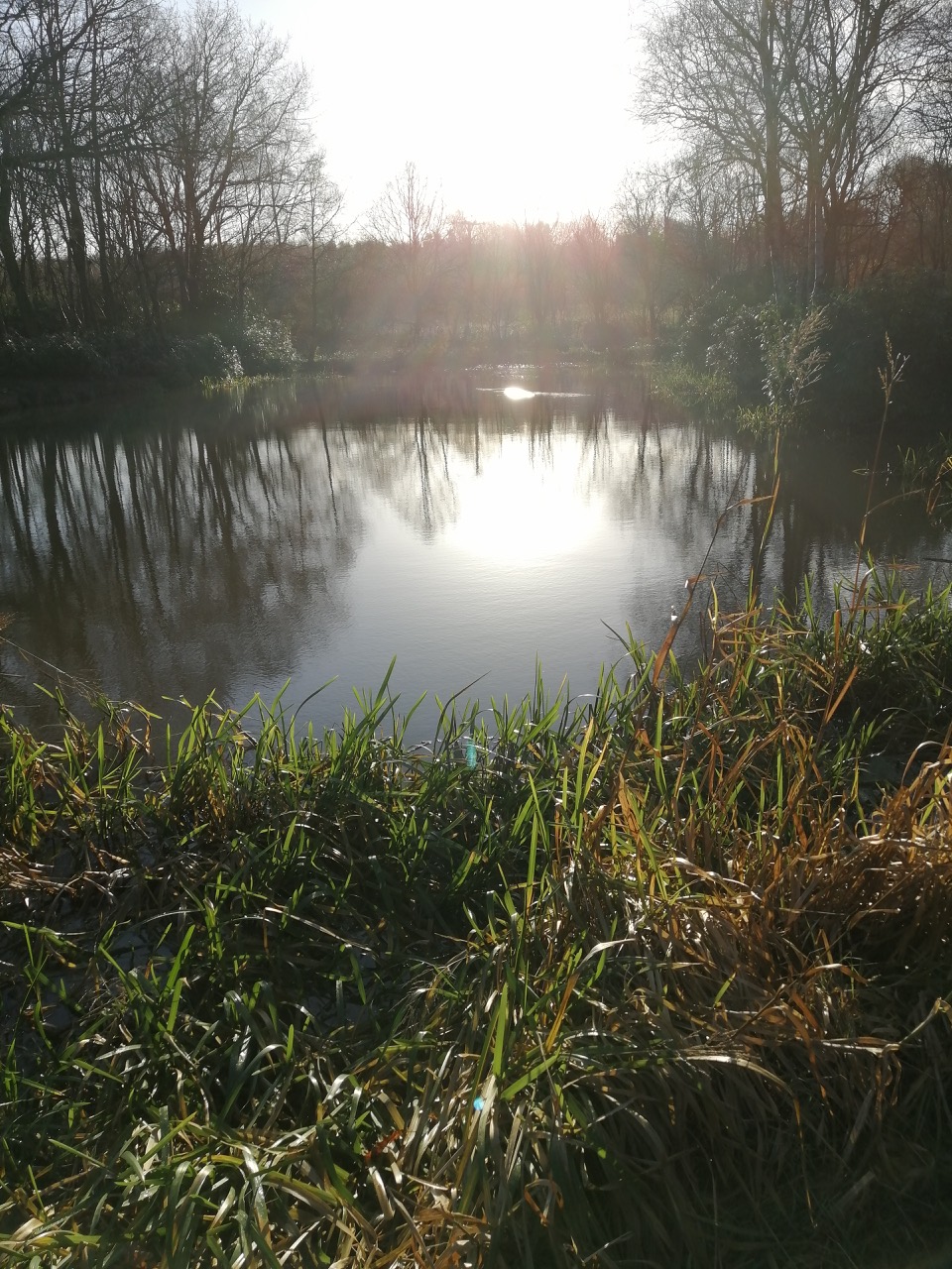 Fwd: Wombwell Woods stuart spooner			
					</div><!-- .entry-content -->
		
		<footer>
		
		
		
					
					</footer><!-- .entry-meta -->
	</article><!-- #post -->
				
											
				
		
<hr class=