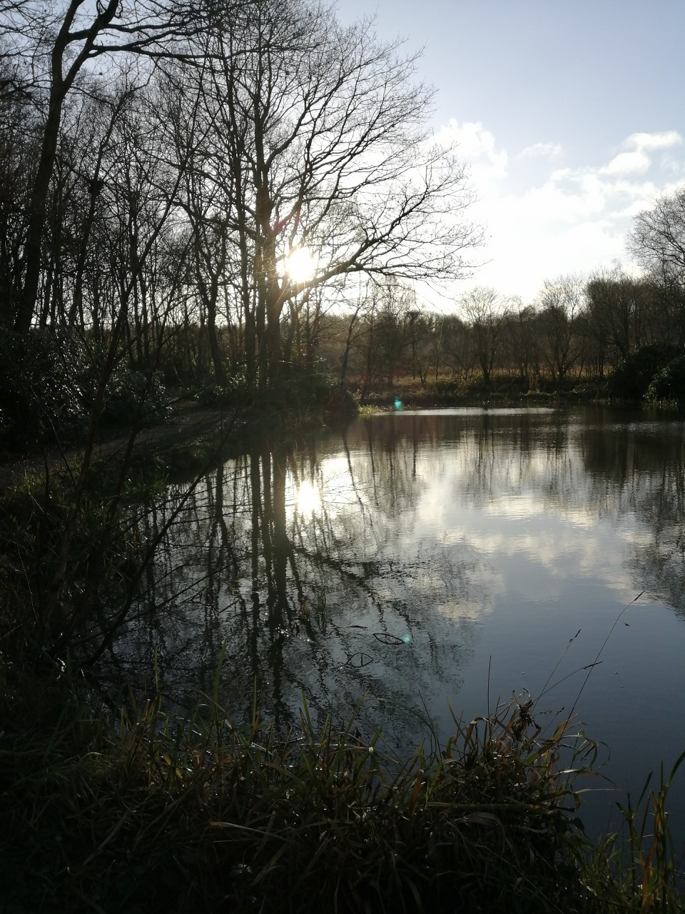 Fwd: Wombwell Woods by Stuart spooner			
					</div><!-- .entry-content -->
		
		<footer>
		
		
		
					
					</footer><!-- .entry-meta -->
	</article><!-- #post -->
				
											
				
		
<hr class=