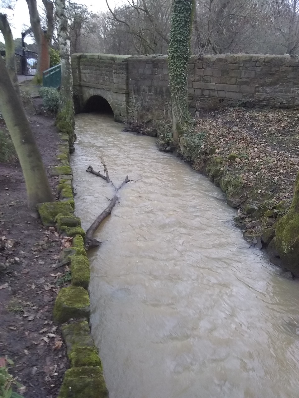 Fwd: Elsecar park			
					</div><!-- .entry-content -->
		
		<footer>
		
		
		
					
					</footer><!-- .entry-meta -->
	</article><!-- #post -->
				
											
				
		
<hr class=