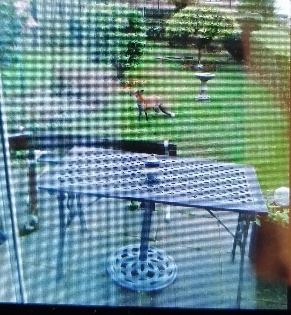 Fwd: Fox Ecclesfield Florence spooner			
					</div><!-- .entry-content -->
		
		<footer>
		
		
		
					
					</footer><!-- .entry-meta -->
	</article><!-- #post -->
				
											
				
		
<hr class=