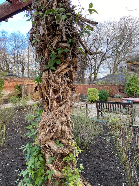 Fwd: Hillsborough Park			
					</div><!-- .entry-content -->
		
		<footer>
		
		
		
					
					</footer><!-- .entry-meta -->
	</article><!-- #post -->
				
											
				
		
<hr class=