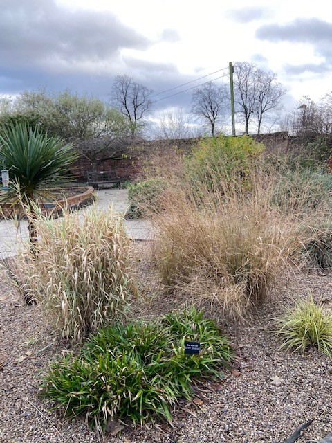 Fwd: Hillsborough Park			
					</div><!-- .entry-content -->
		
		<footer>
		
		
		
					
					</footer><!-- .entry-meta -->
	</article><!-- #post -->
				
											
				
		
<hr class=