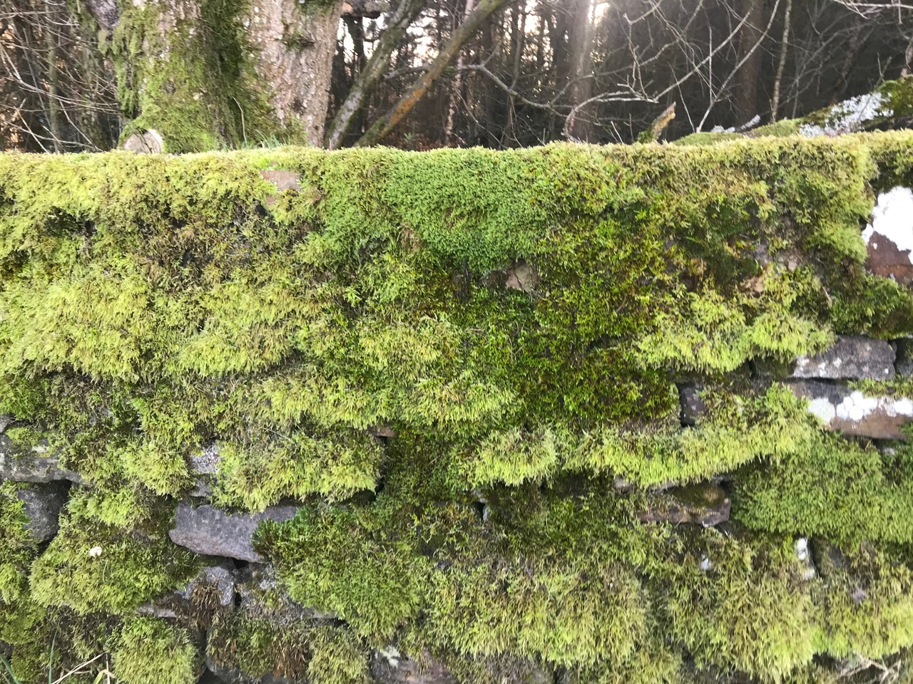 Fwd: Photo by Kate Hague			
					</div><!-- .entry-content -->
		
		<footer>
		
		
		
					
					</footer><!-- .entry-meta -->
	</article><!-- #post -->
				
											
				
		
<hr class=