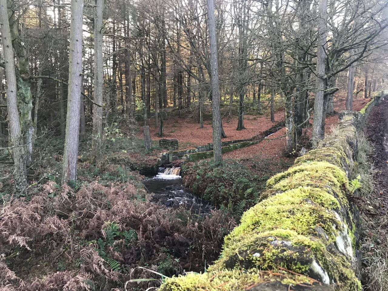 Fwd: Photo by Kate Hague Redmires			
					</div><!-- .entry-content -->
		
		<footer>
		
		
		
					
					</footer><!-- .entry-meta -->
	</article><!-- #post -->
				
											
				
		
<hr class=