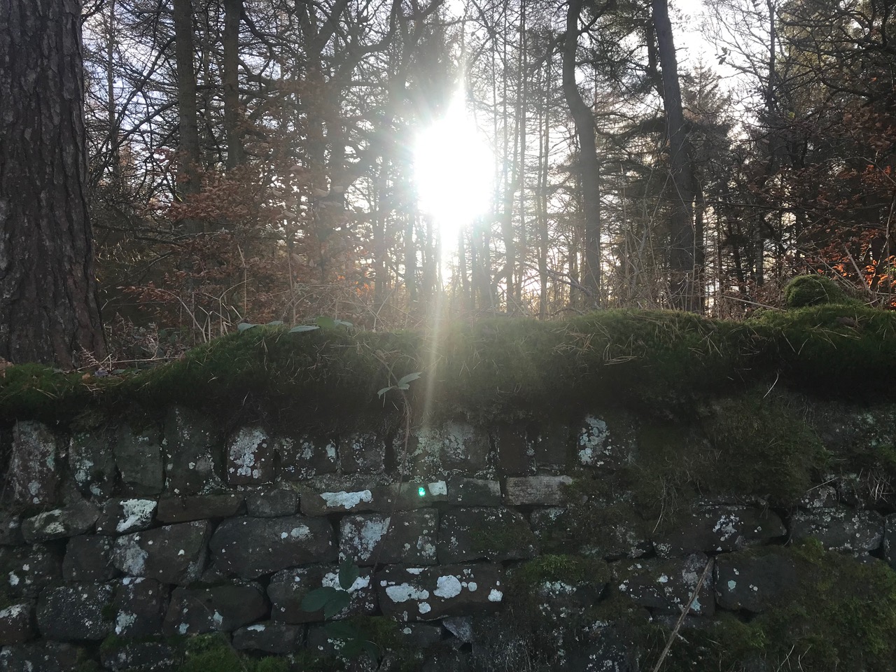 Fwd: Photo by Kate Hague			
					</div><!-- .entry-content -->
		
		<footer>
		
		
		
					
					</footer><!-- .entry-meta -->
	</article><!-- #post -->
				
											
				
		
<hr class=