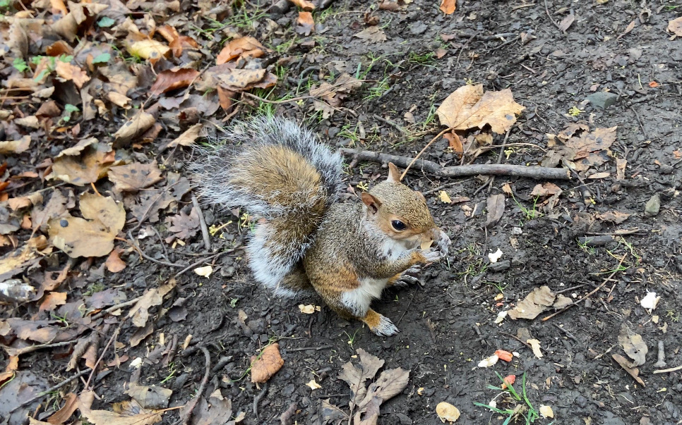 Fwd: Picture			
					</div><!-- .entry-content -->
		
		<footer>
		
		
		
					
					</footer><!-- .entry-meta -->
	</article><!-- #post -->
				
											
				
		
<hr class=