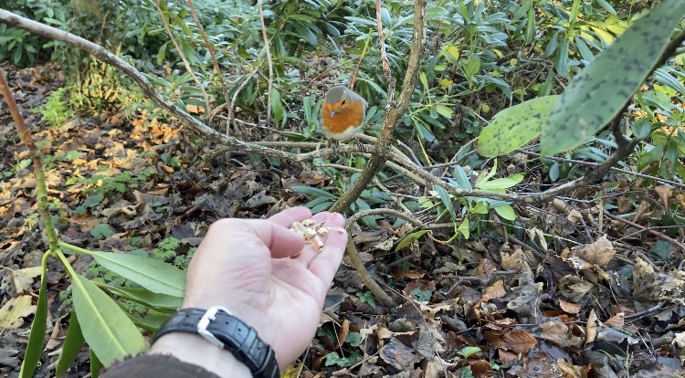 Fwd: Photo Sheffield Graves Park			
					</div><!-- .entry-content -->
		
		<footer>
		
		
		
					
					</footer><!-- .entry-meta -->
	</article><!-- #post -->
				
											
				
		
<hr class=