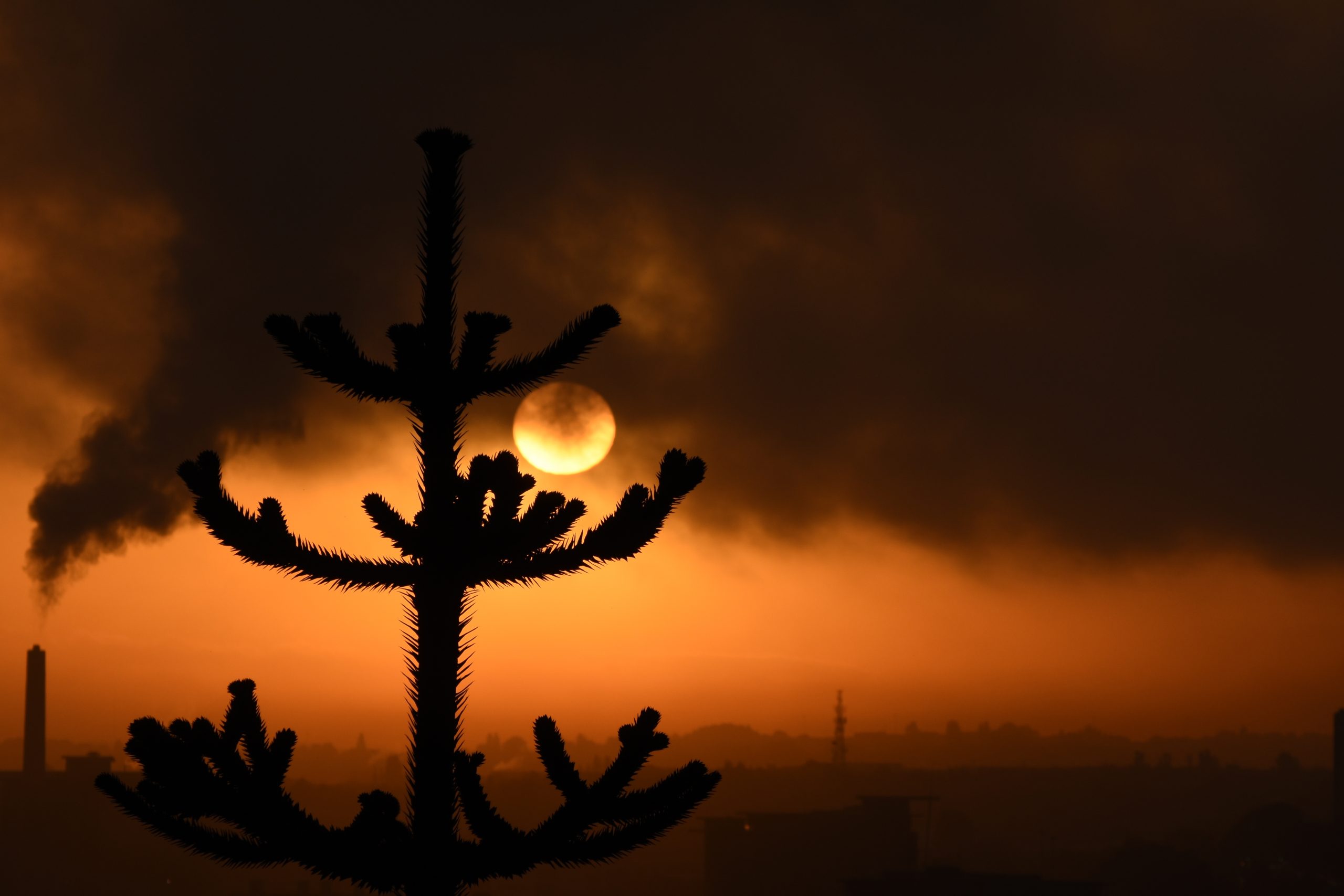 Fwd: View of the insinerator, Sheffield. Protrekker			
					</div><!-- .entry-content -->
		
		<footer>
		
		
		
					
					</footer><!-- .entry-meta -->
	</article><!-- #post -->
				
											
				
		
<hr class=