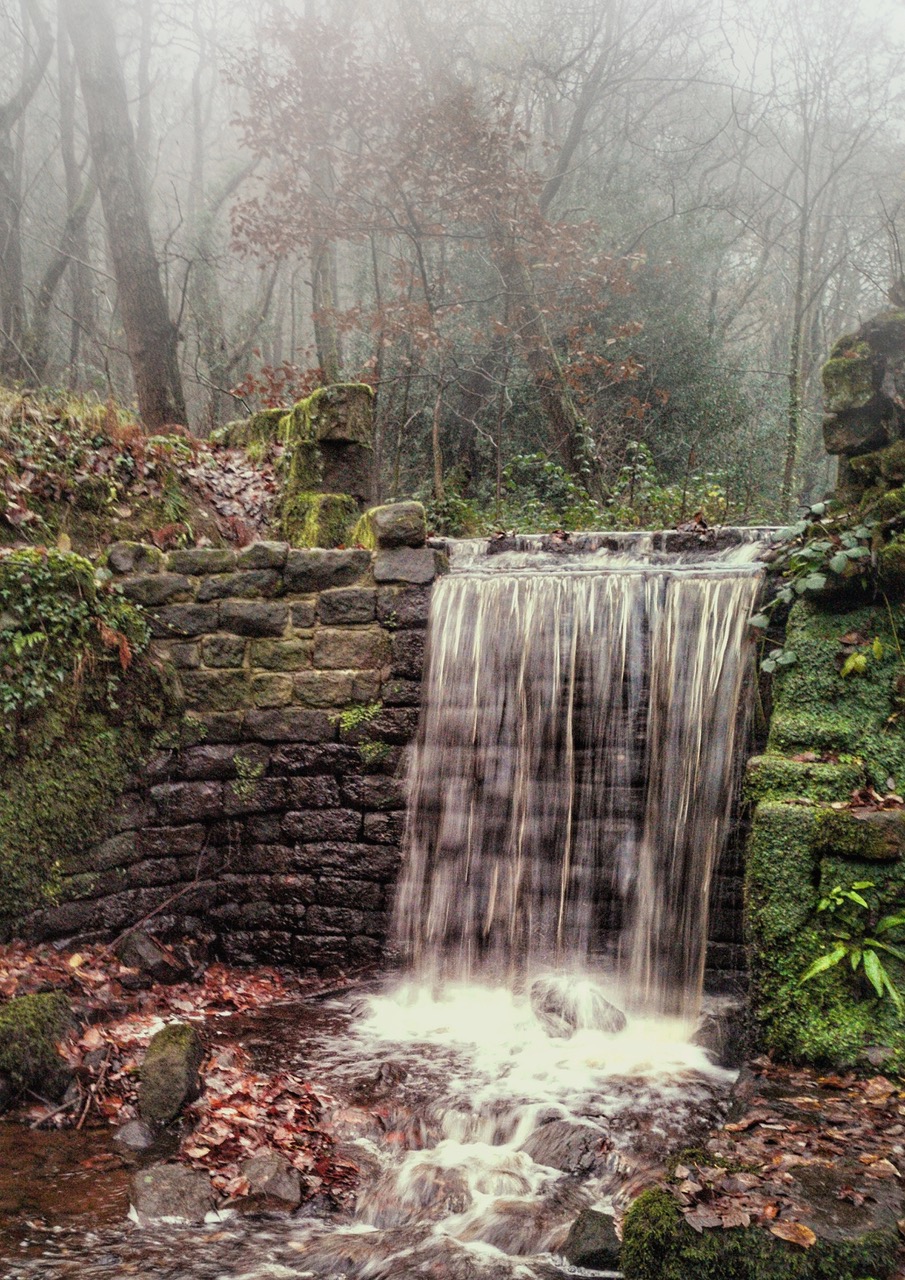 Fwd: Rivelin Valley			
					</div><!-- .entry-content -->
		
		<footer>
		
		
		
					
					</footer><!-- .entry-meta -->
	</article><!-- #post -->
				
											
				
		
<hr class=