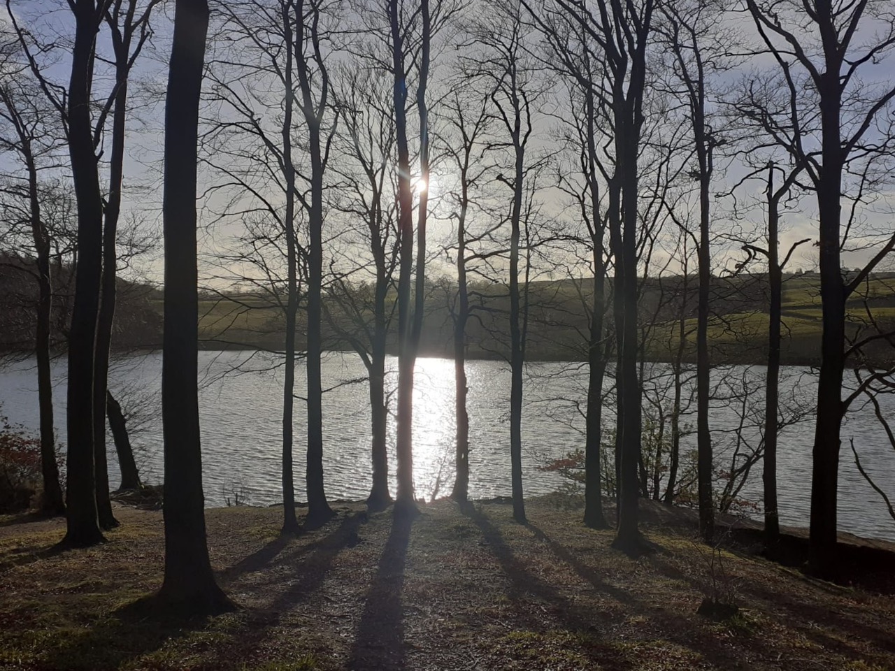 Fwd: Linacre Reservoir by Louise Glaves			
					</div><!-- .entry-content -->
		
		<footer>
		
		
		
					
					</footer><!-- .entry-meta -->
	</article><!-- #post -->
				
											
				
		
<hr class=