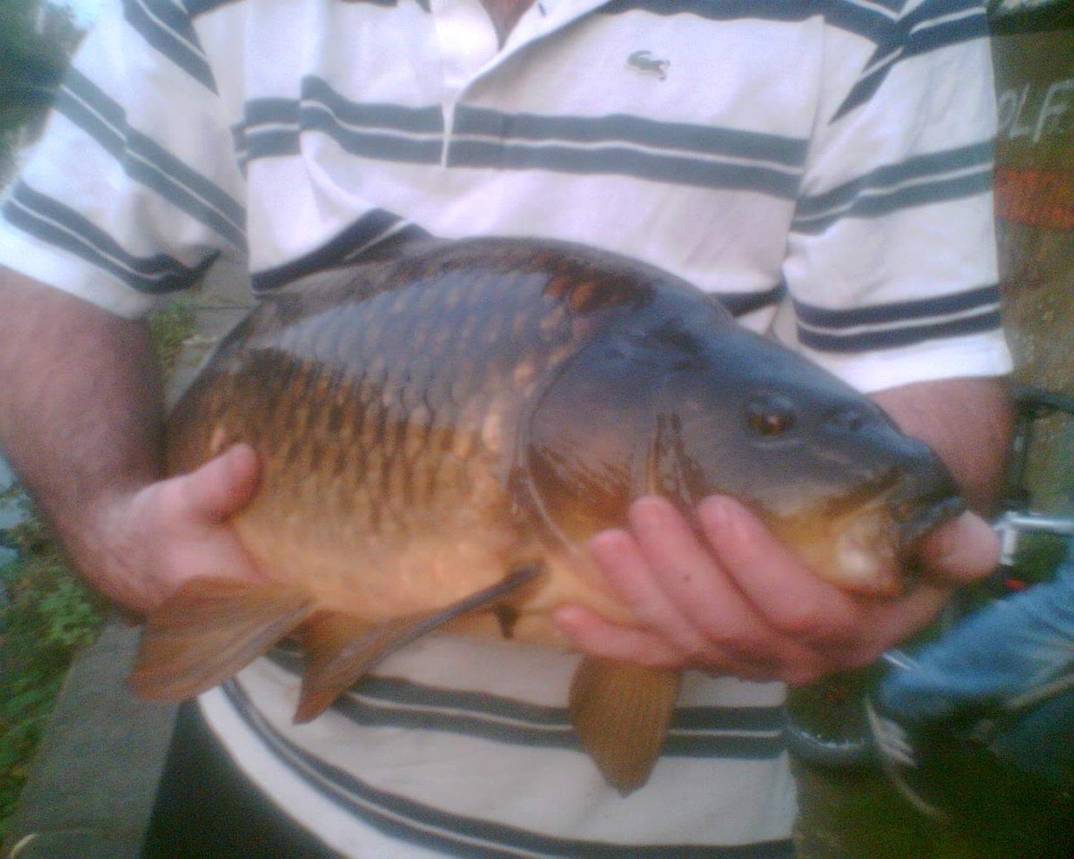 Fwd:			
					</div><!-- .entry-content -->
		
		<footer>
		
		
		
					
					</footer><!-- .entry-meta -->
	</article><!-- #post -->
				
											
				
		
<hr class=