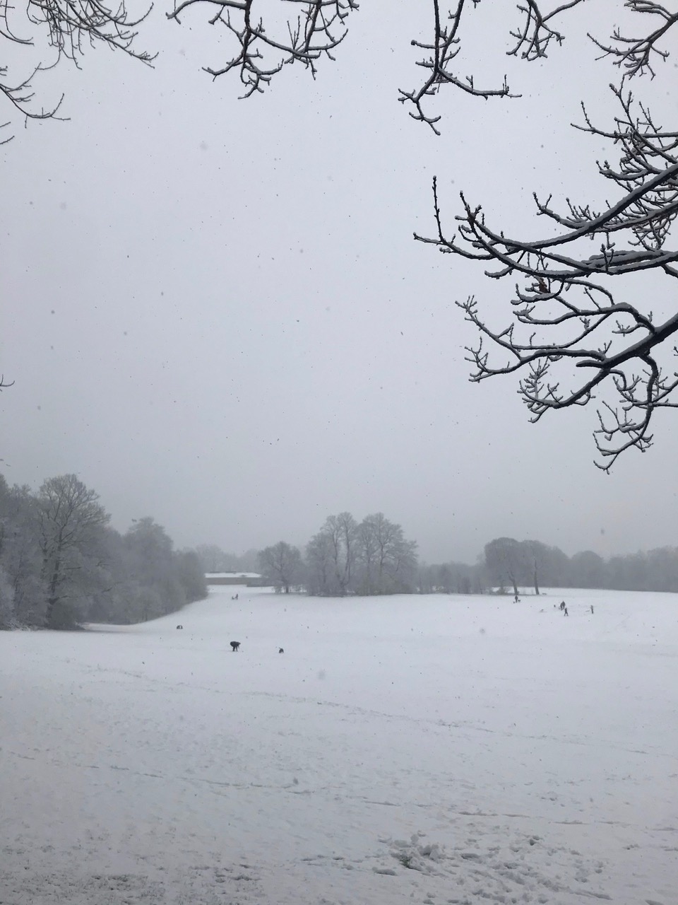 Fwd: Photograph by N Joseph Norfolk park			
					</div><!-- .entry-content -->
		
		<footer>
		
		
		
					
					</footer><!-- .entry-meta -->
	</article><!-- #post -->
				
											
				
		
<hr class=