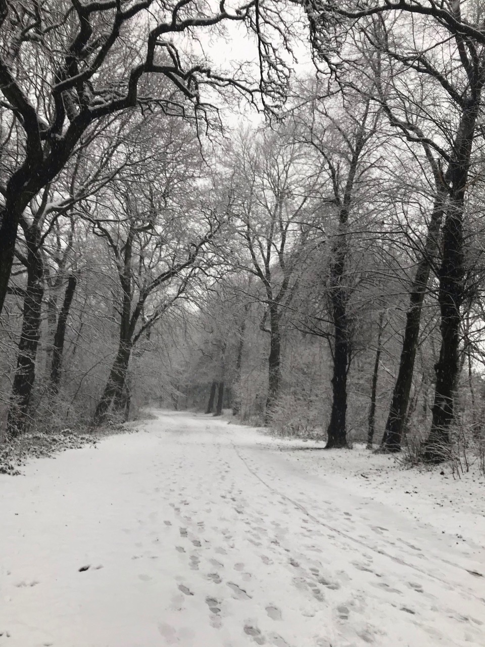 Fwd: Photograph by N Joseph Norfolk park			
					</div><!-- .entry-content -->
		
		<footer>
		
		
		
					
					</footer><!-- .entry-meta -->
	</article><!-- #post -->
				
											
				
		
<hr class=