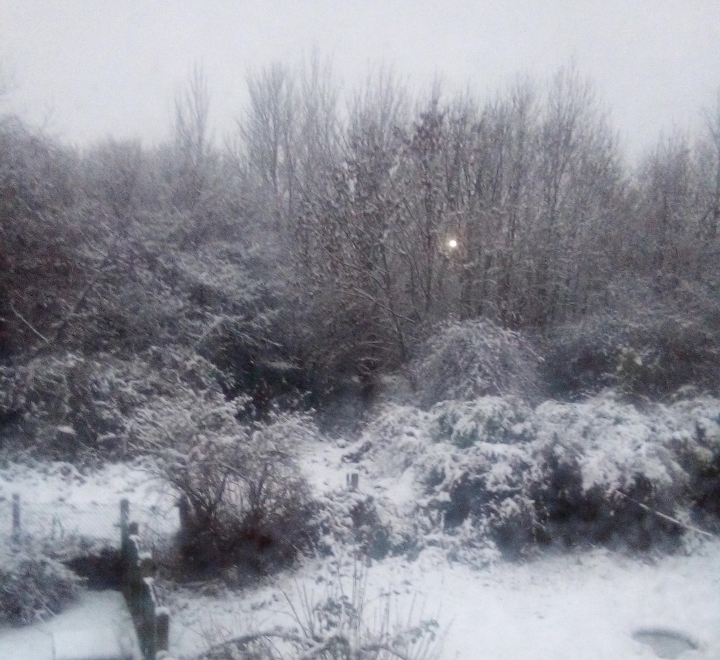 Fwd: Kenneth Roddis			
					</div><!-- .entry-content -->
		
		<footer>
		
		
		
					
					</footer><!-- .entry-meta -->
	</article><!-- #post -->
				
											
				
		
<hr class=