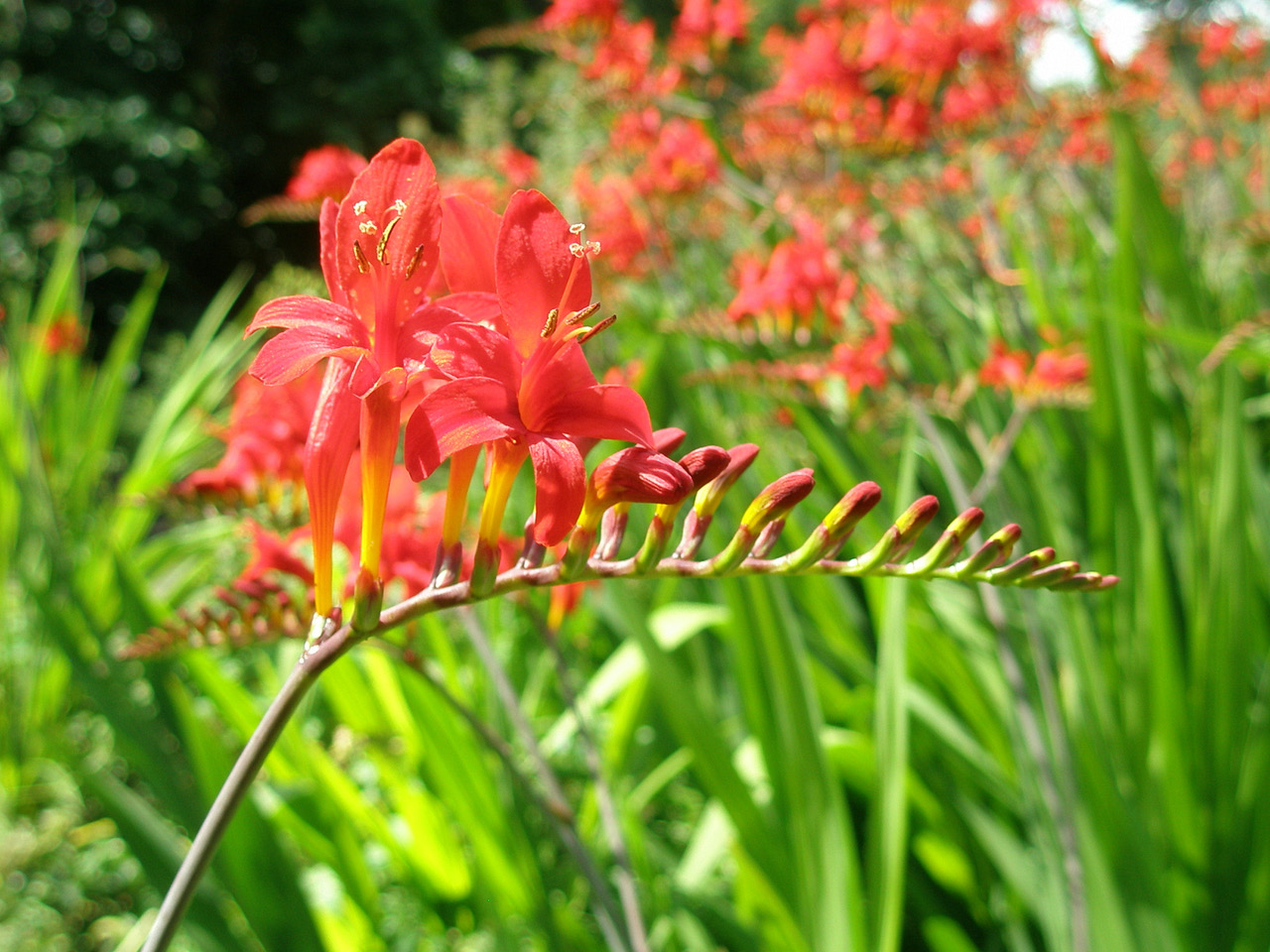 Fwd: Photo			
					</div><!-- .entry-content -->
		
		<footer>
		
		
		
					
					</footer><!-- .entry-meta -->
	</article><!-- #post -->
				
											
				
		
<hr class=