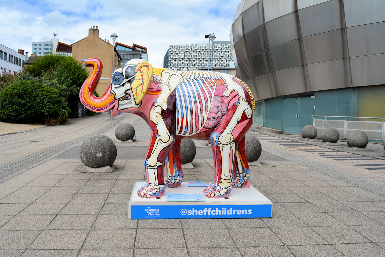 Fwd: Photo			
					</div><!-- .entry-content -->
		
		<footer>
		
		
		
					
					</footer><!-- .entry-meta -->
	</article><!-- #post -->
				
											
				
		
<hr class=