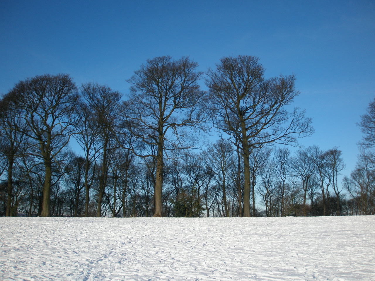 Fwd: Photo			
					</div><!-- .entry-content -->
		
		<footer>
		
		
		
					
					</footer><!-- .entry-meta -->
	</article><!-- #post -->
				
											
				
		
<hr class=