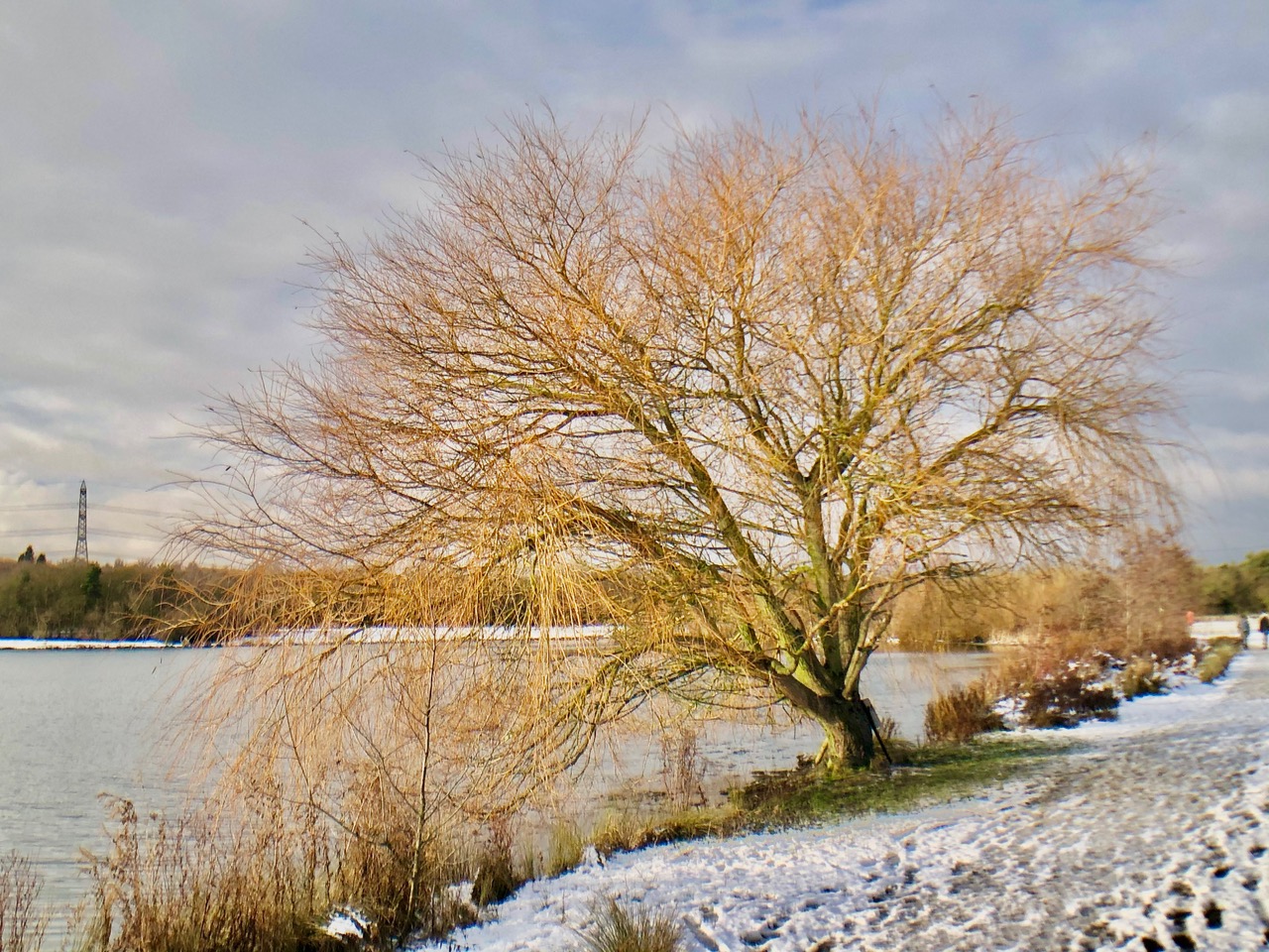 Fwd: Rother Valley Country Park. Keith Bown			
					</div><!-- .entry-content -->
		
		<footer>
		
		
		
					
					</footer><!-- .entry-meta -->
	</article><!-- #post -->
				
											
				
		
<hr class=