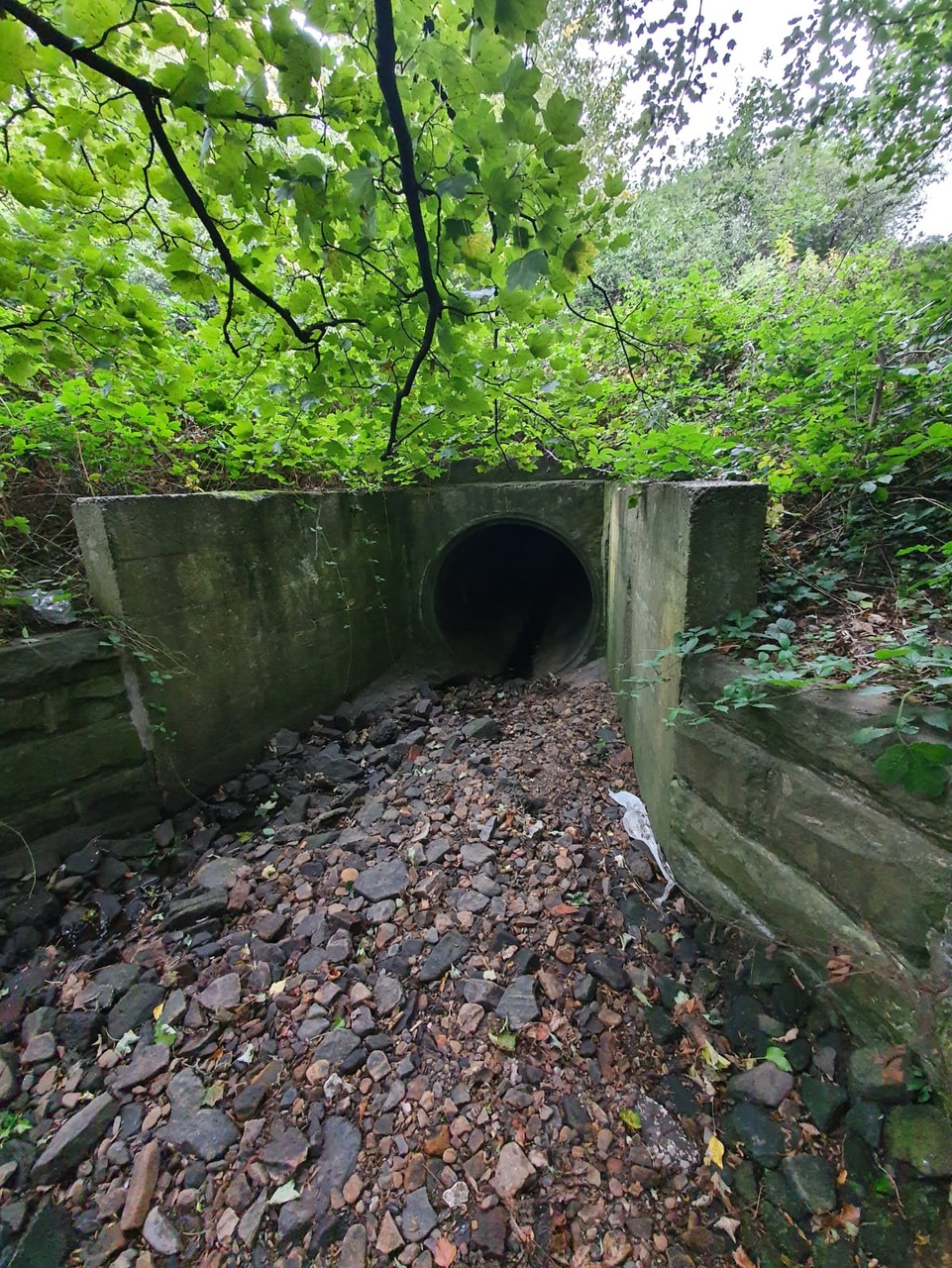 Fwd:			
					</div><!-- .entry-content -->
		
		<footer>
		
		
		
					
					</footer><!-- .entry-meta -->
	</article><!-- #post -->
				
											
				
		
<hr class=