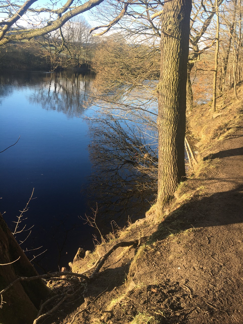 Fwd: Fab walk around the Bradfield dam just a few minutes away from home …How lucky am I			
					</div><!-- .entry-content -->
		
		<footer>
		
		
		
					
					</footer><!-- .entry-meta -->
	</article><!-- #post -->
				
											
				
		
<hr class=