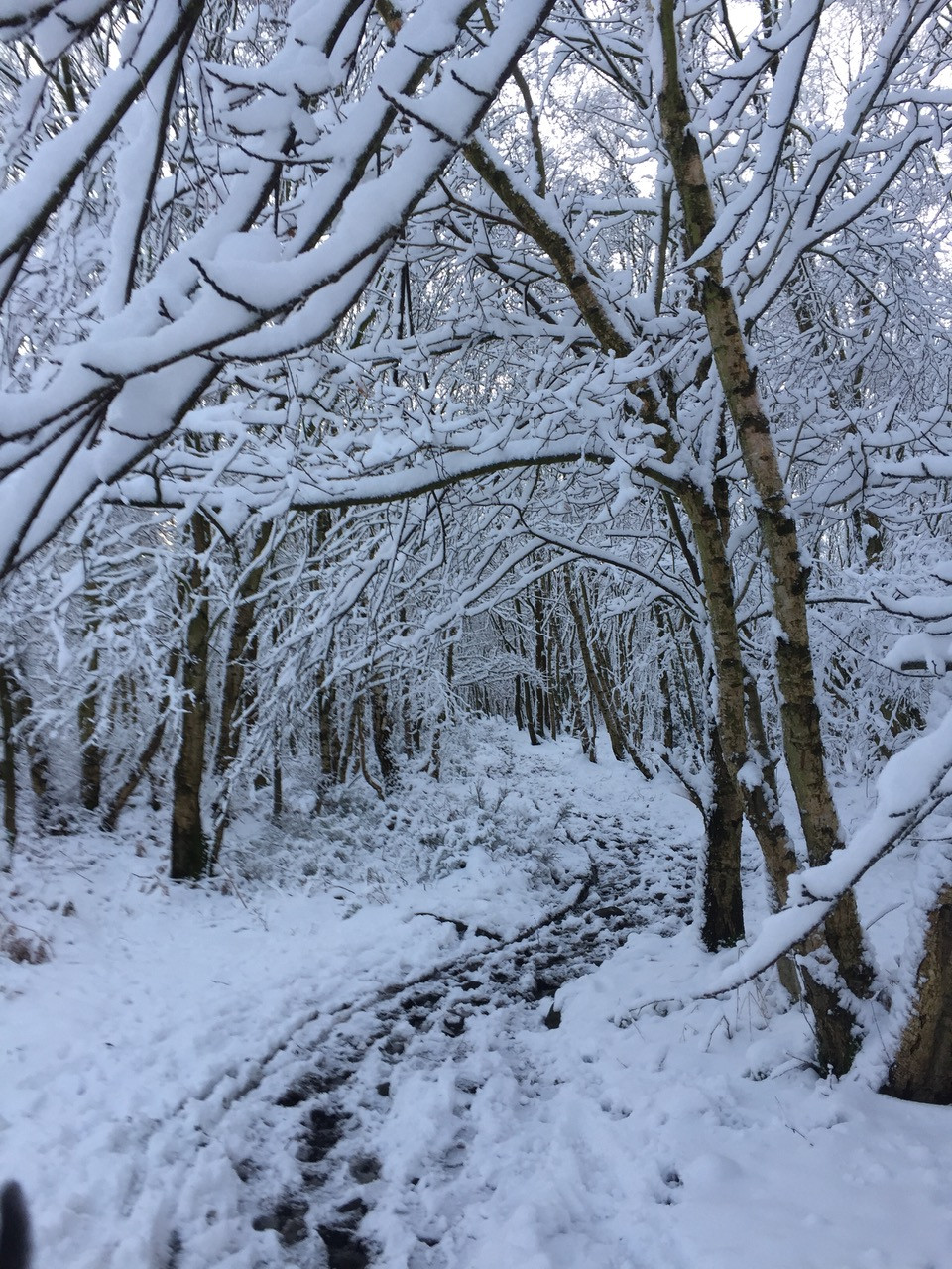 Fwd: Snow day wadsley and Loxley			
					</div><!-- .entry-content -->
		
		<footer>
		
		
		
					
					</footer><!-- .entry-meta -->
	</article><!-- #post -->
				
											
				
		
<hr class=